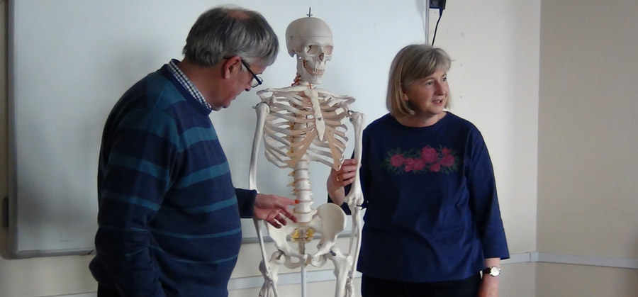 alexander technique talks presentations and tasters